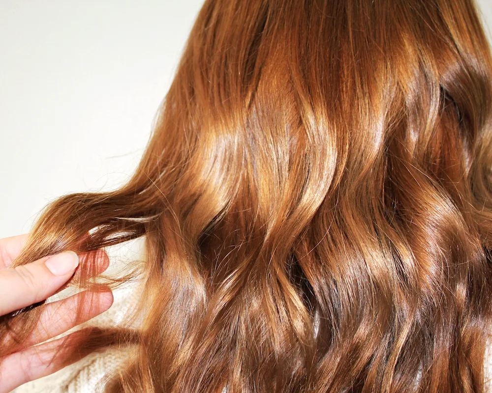 Phyto colour chestnut