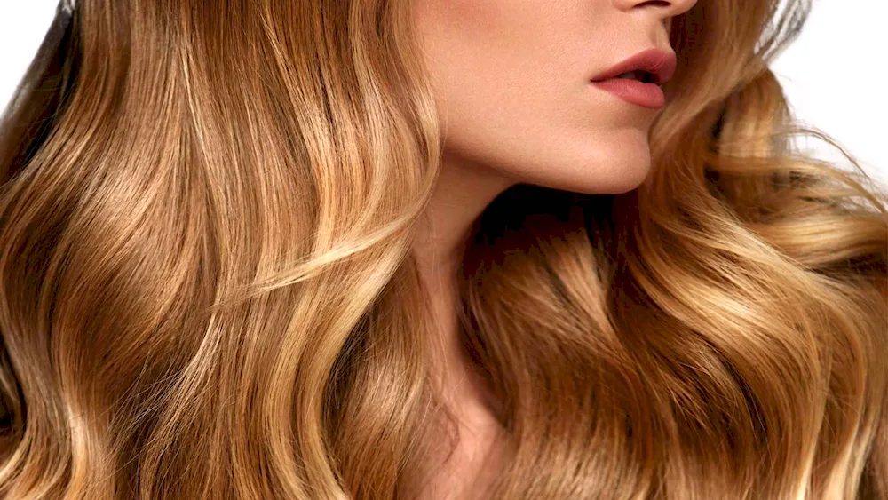 Loreal honey blond