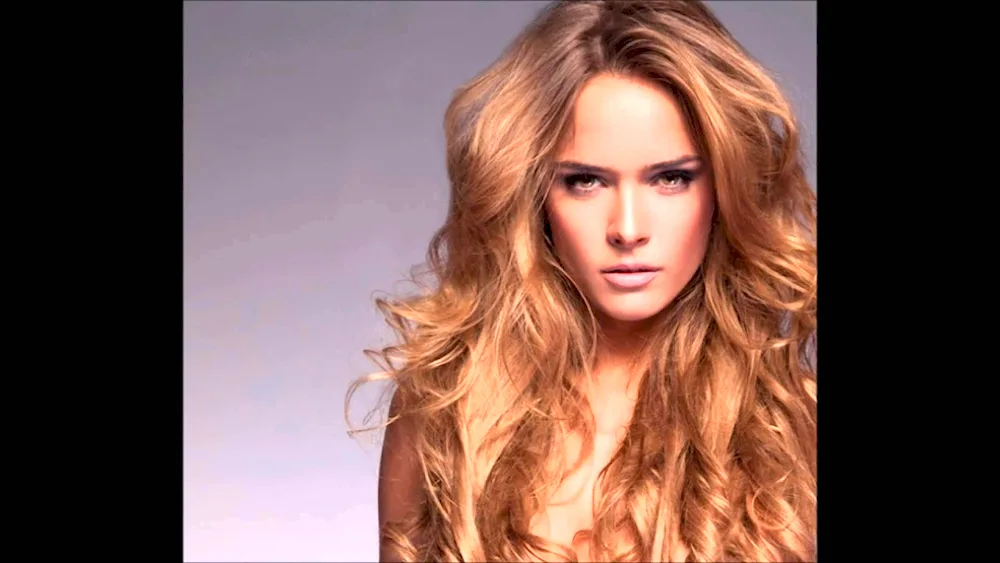 Loreal Honey Blonde