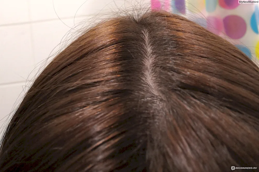 Loreal Casting Creme Gloss 780 Walnut Mocha