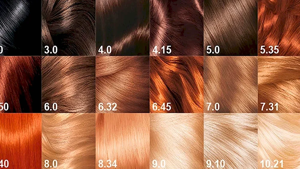 Loreal Prodigi 8. 1