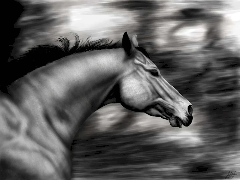 Mysterious pencil drawings