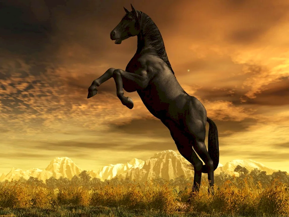 Mustang pacer horse
