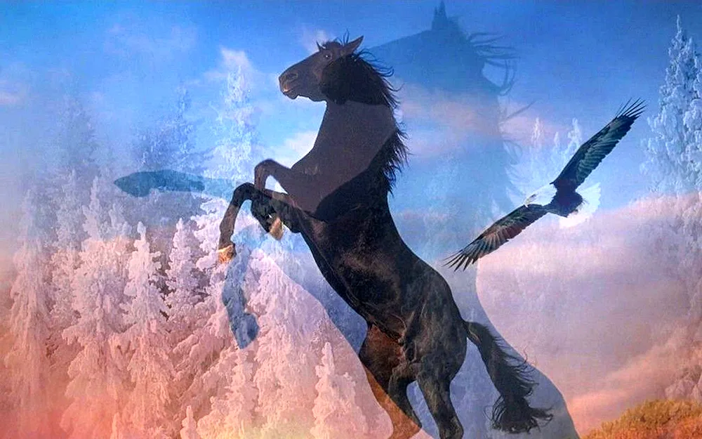 Friesian horse