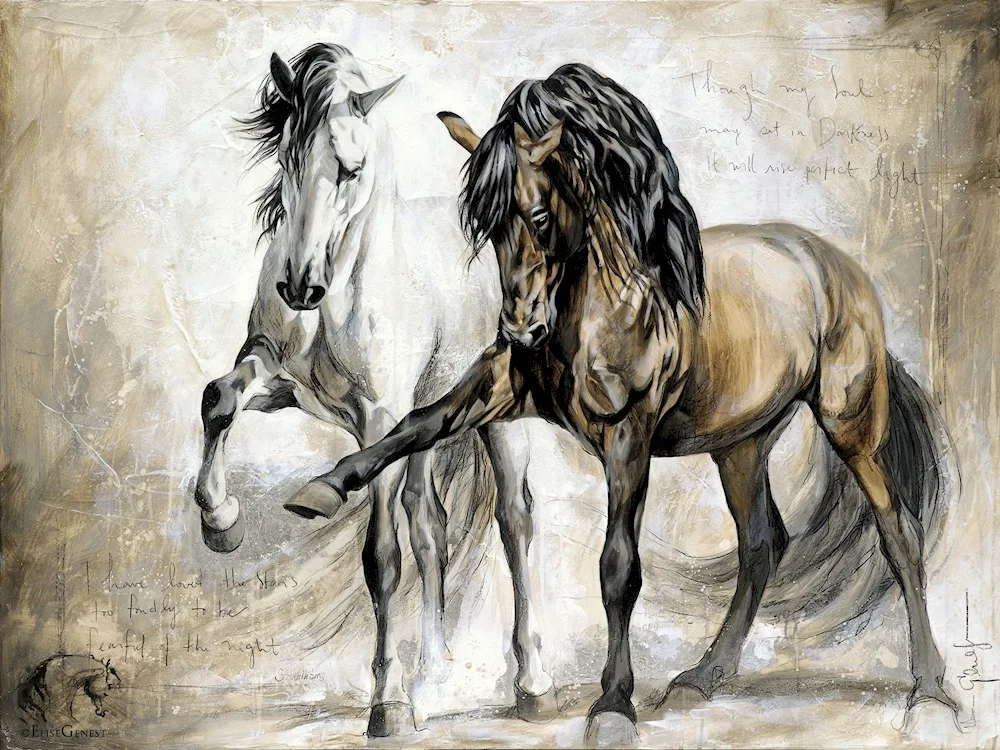 Horses Elise Genest