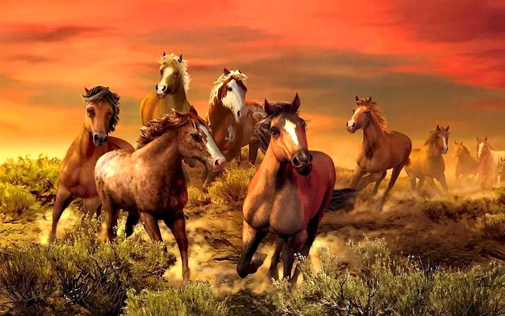 Two horses