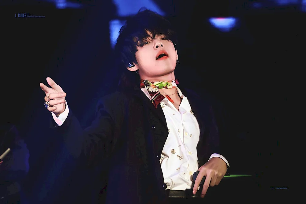 Lotte Family Concert 2019 BTS