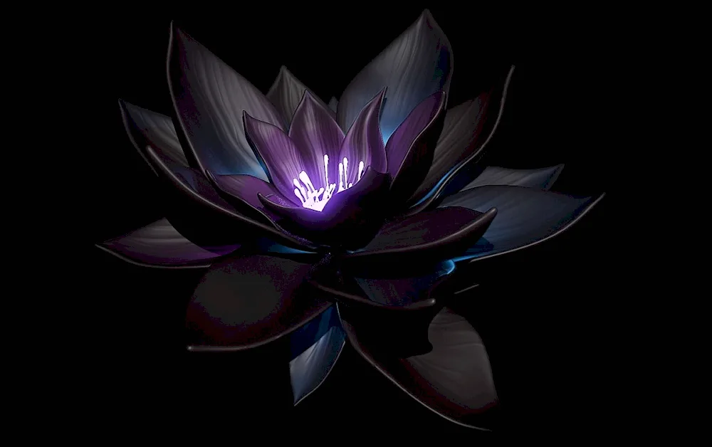 Lotus Flover