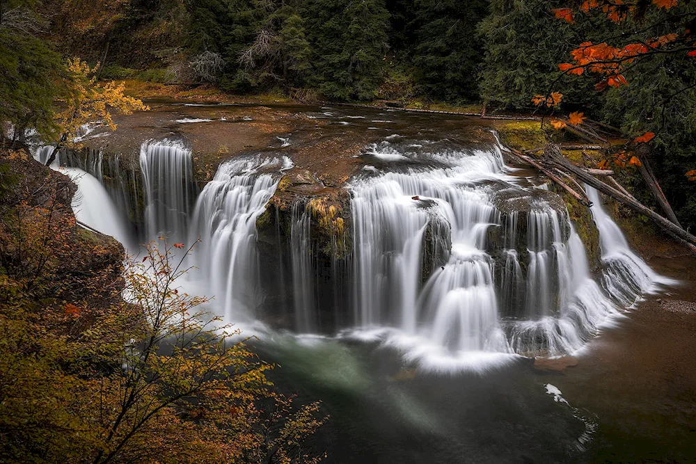 Lower Lewis River Falls