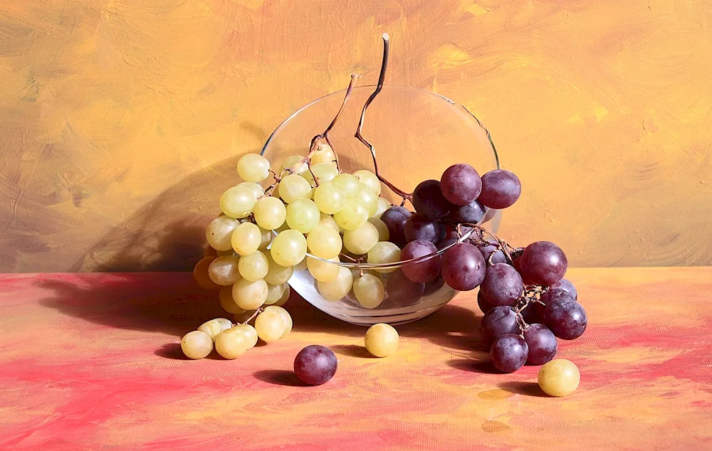Luciano still life grape