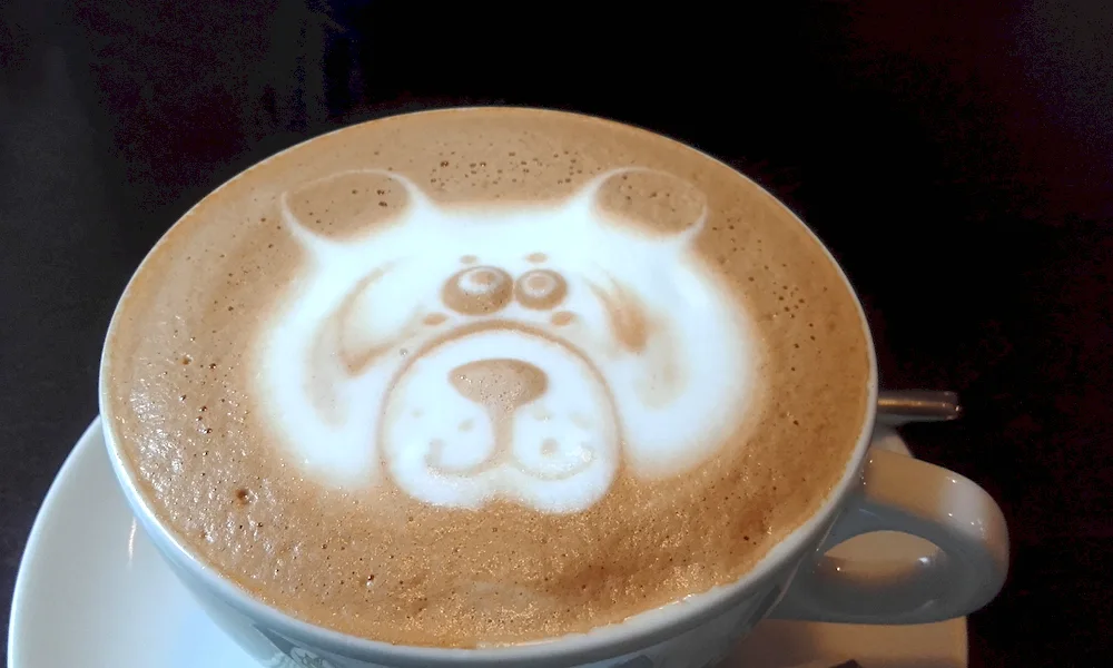 Cupuccino
