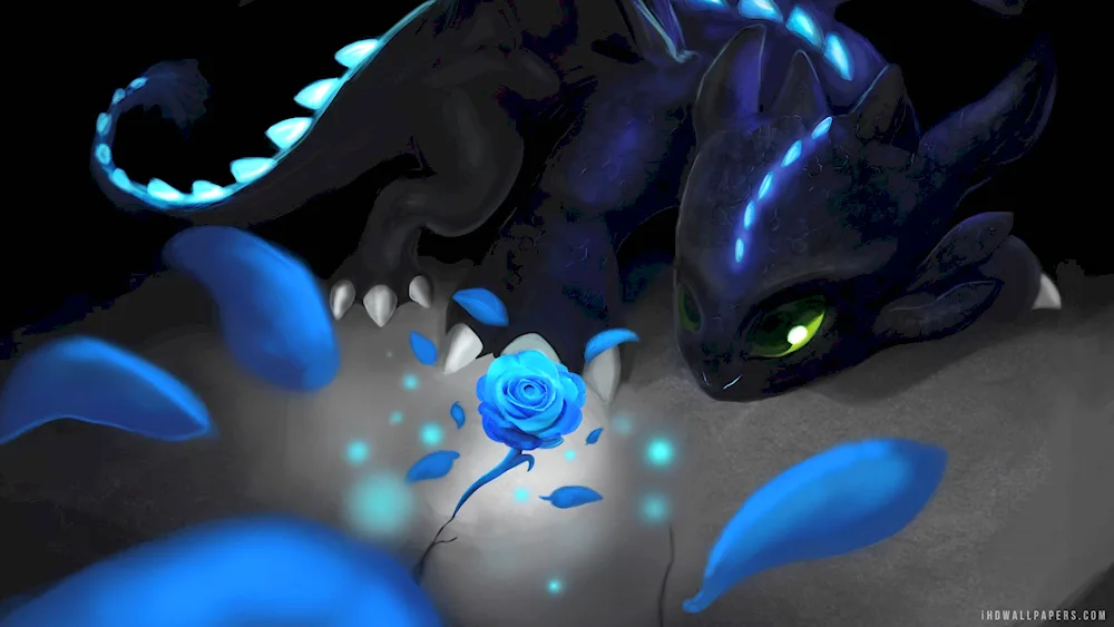 Night Fury Toothless Fury