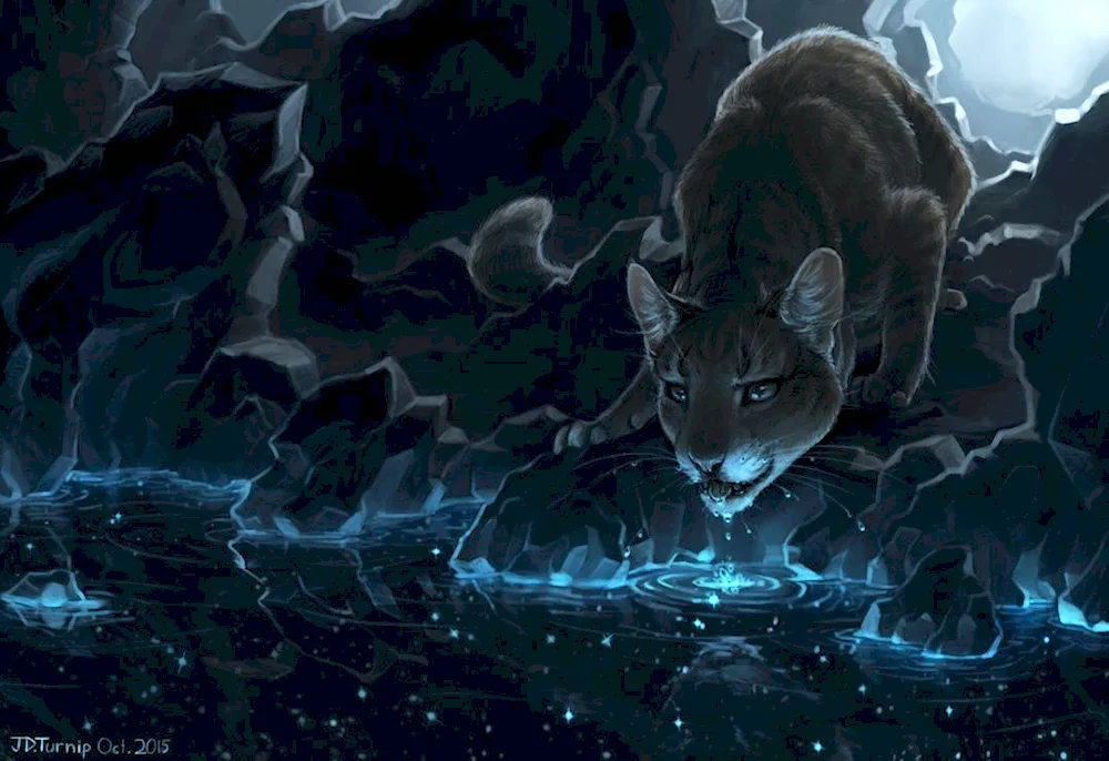 Warrior Cats