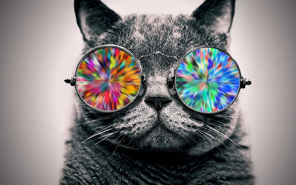 Lunar cat diamond mosaic diamond