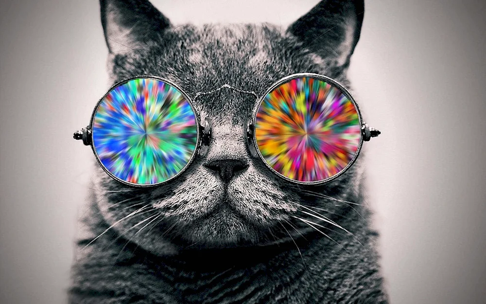 Lunar Cat Diamond Mosaic Diamond