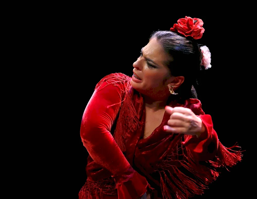 Flamenco couture