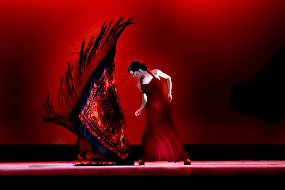 Flamenco dancer