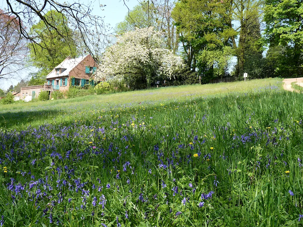 River hedge village summer