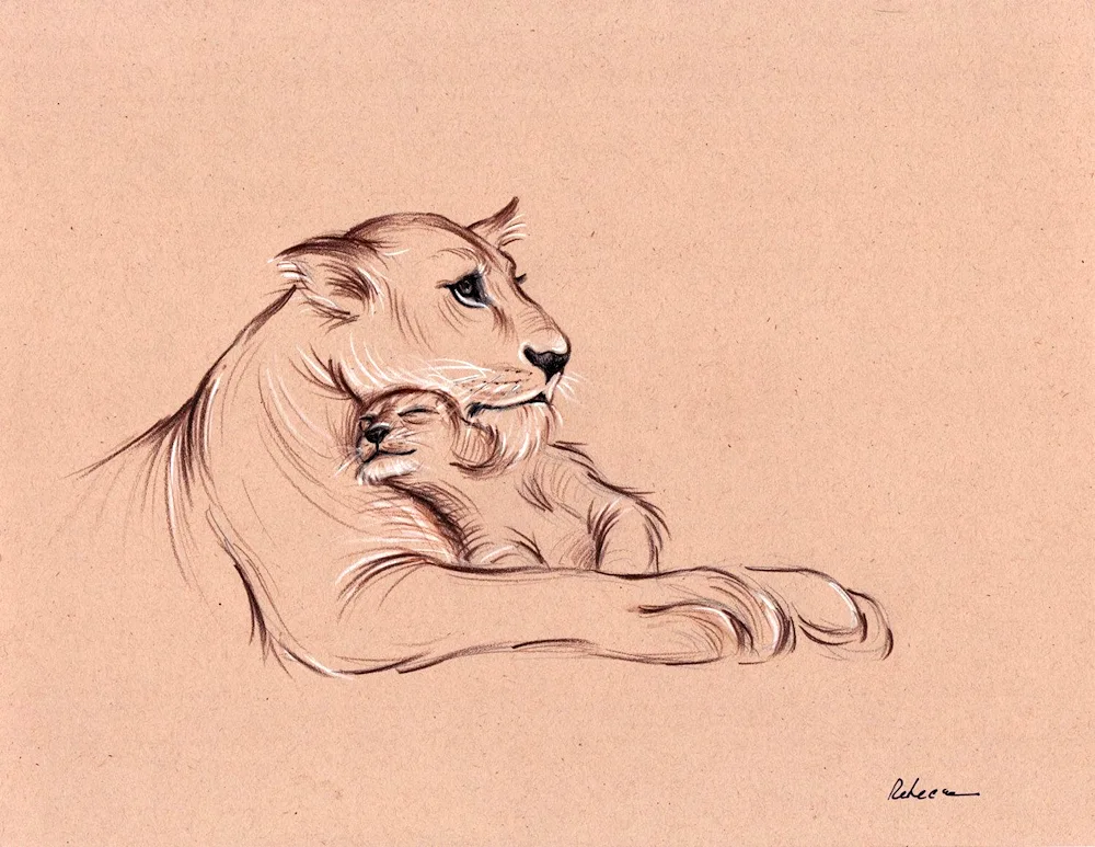 Lion lioness and Lion cub Lion cub