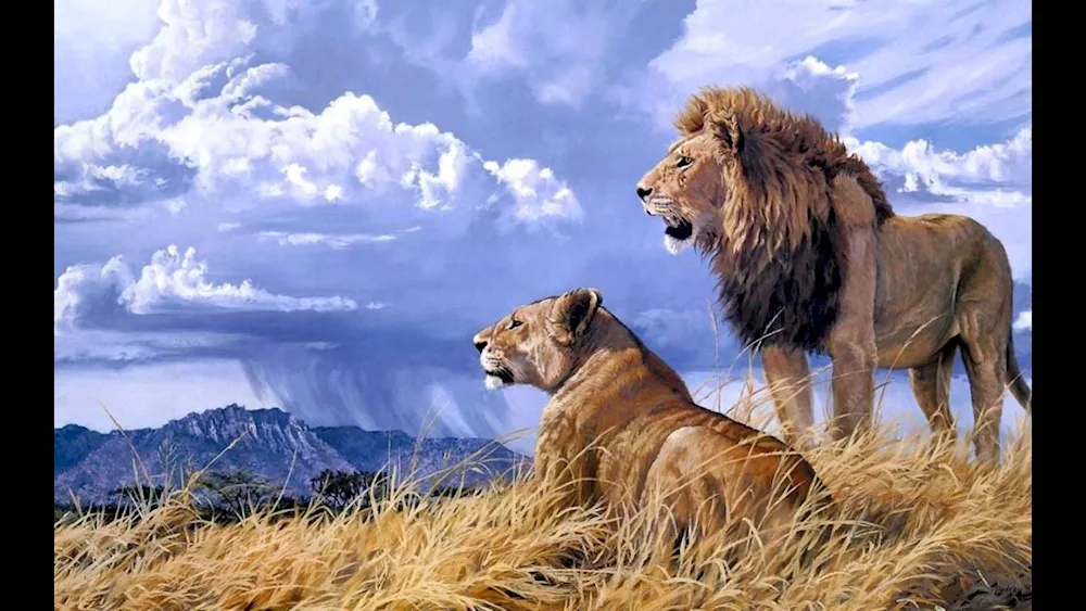 Lion and lioness