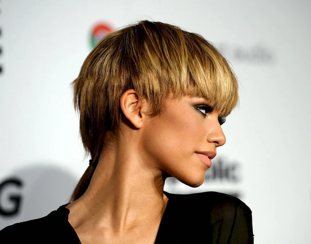 Miley Cyrus Mallet haircut