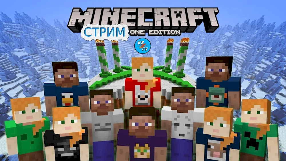 Minecraft heroes