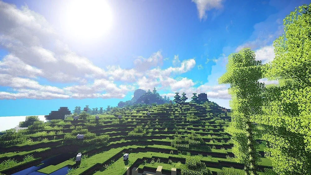 New biome in minecraft 1. 19