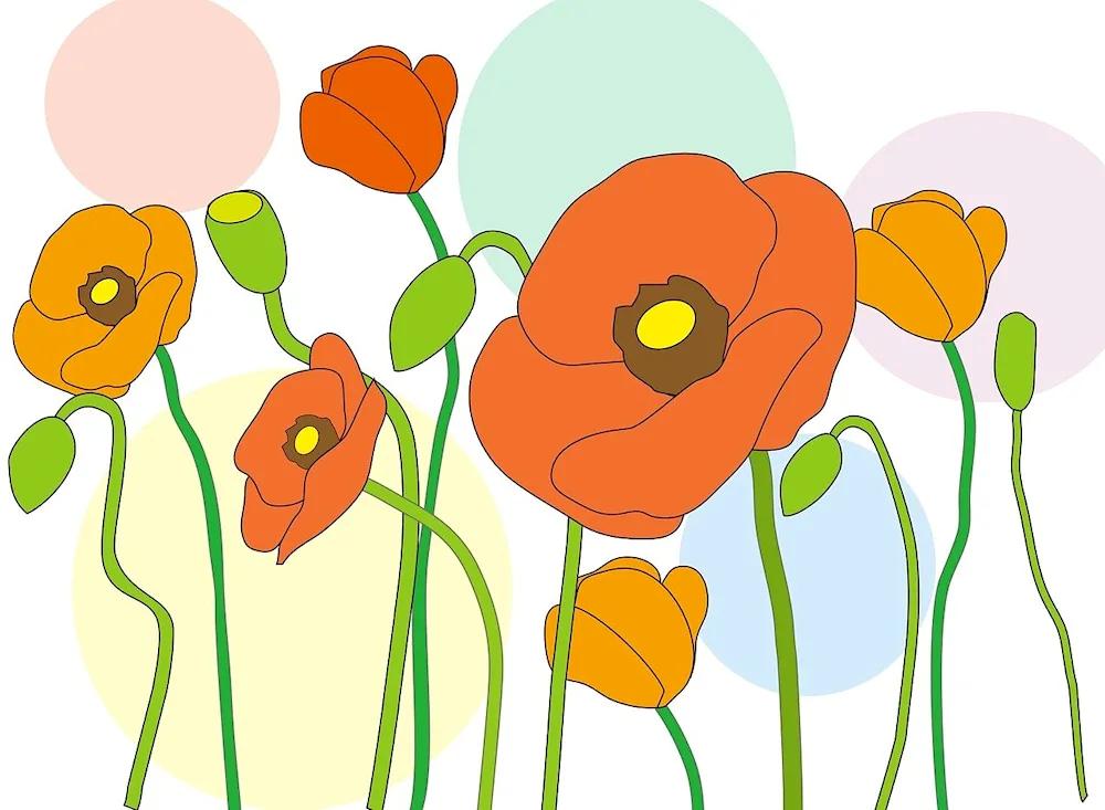 Poppy vector image