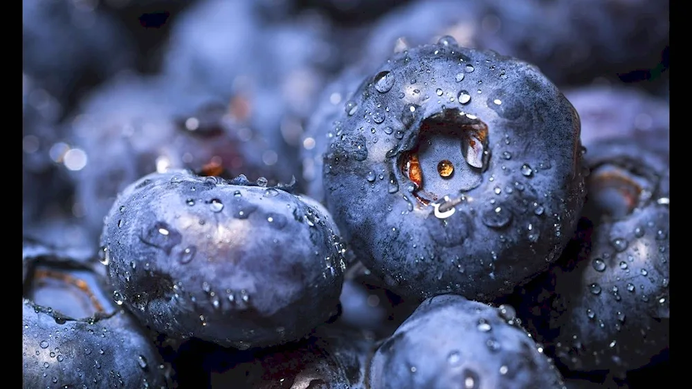 Blue berries