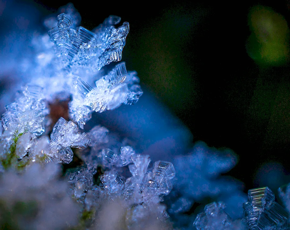 Macro photography winter