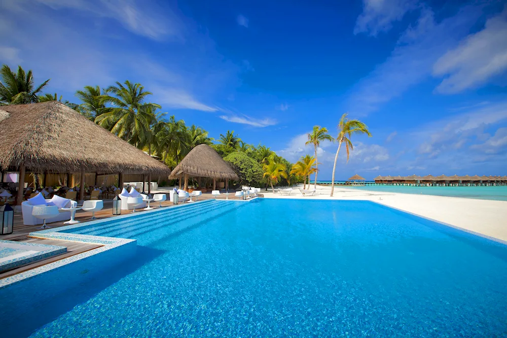 Maldives Palm Bungalow Pool