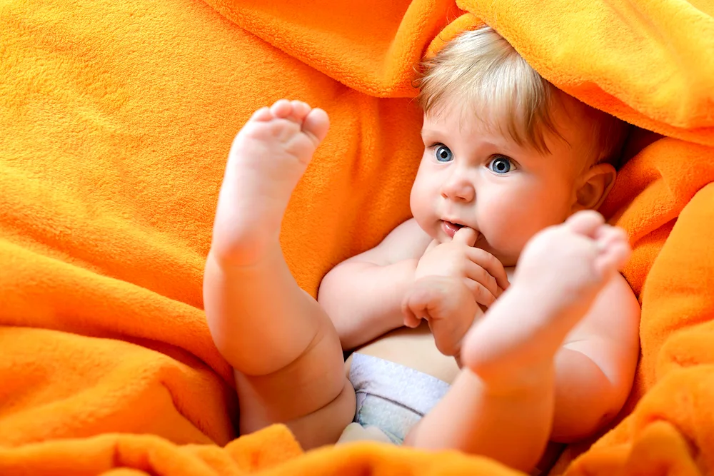 Dandelion baby photo shoot