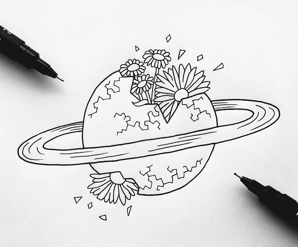 Cosmos in pencil