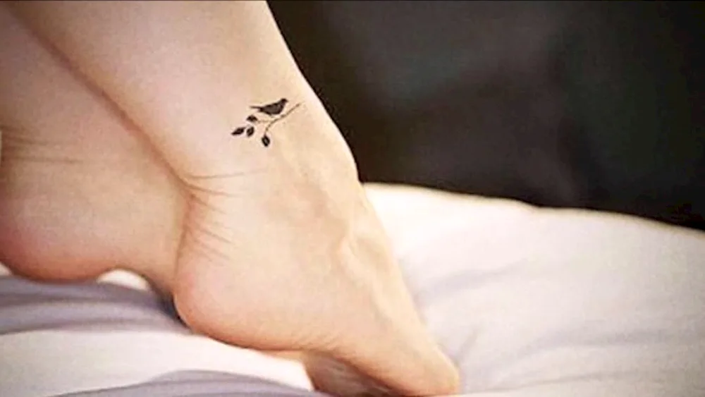 Tattoo on leg. butterfly