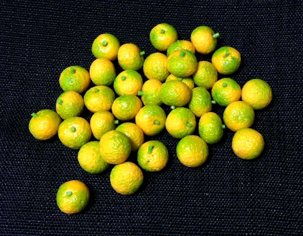 Feijoa fruit