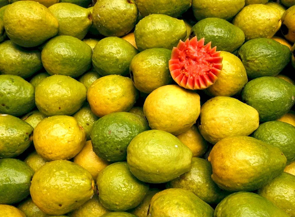 Green fruit