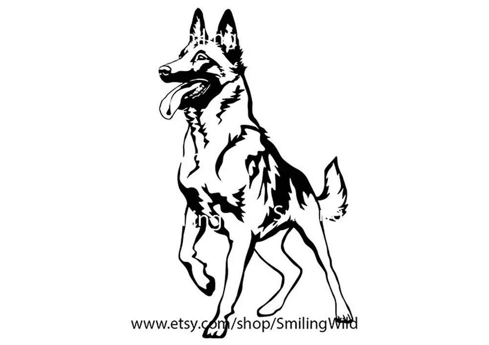 Shepherd dog with coloured pencils