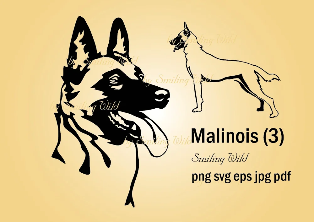 German shepherd dog vector