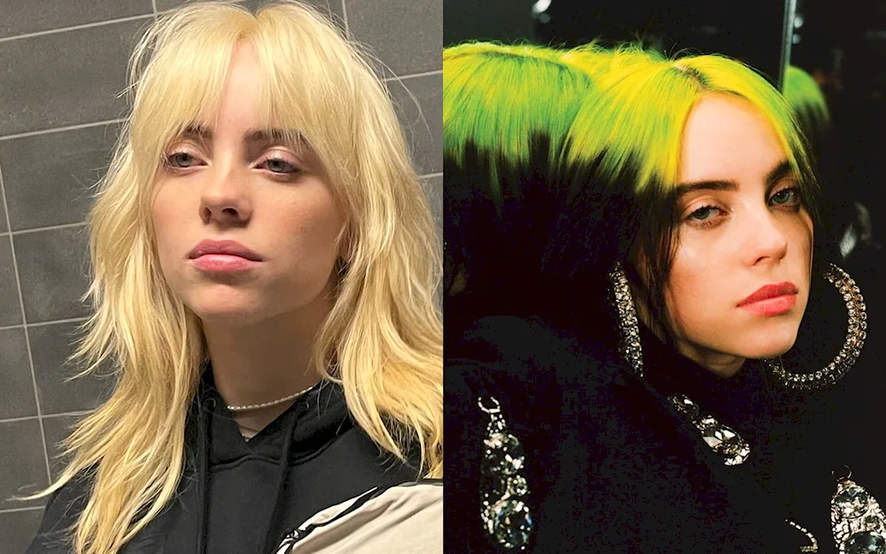 Mallet Billie Eilish