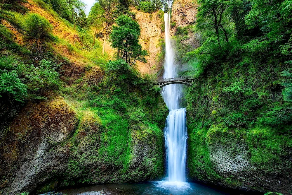 Maltnoma Falls Oregon