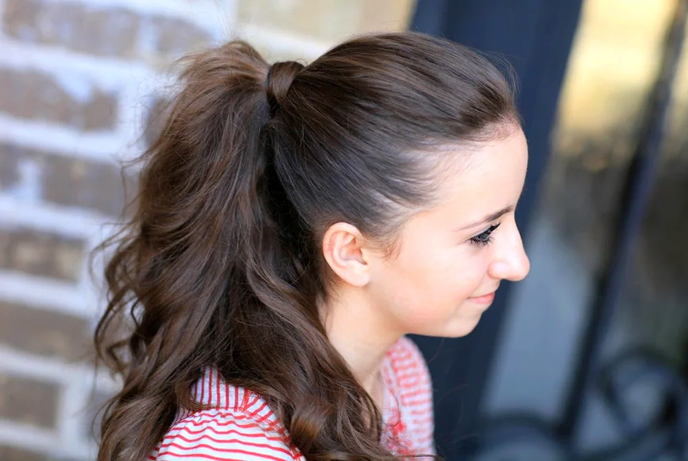 Evening hairstyle ponytail