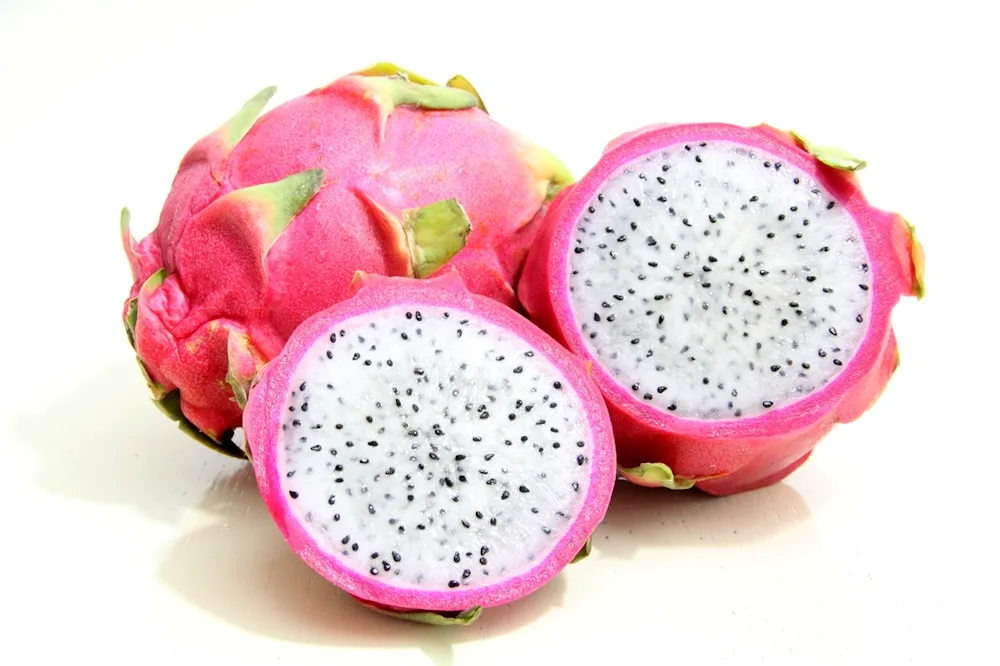 Pitahaya pitahaya