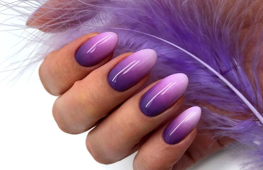 French gradient baby boomer