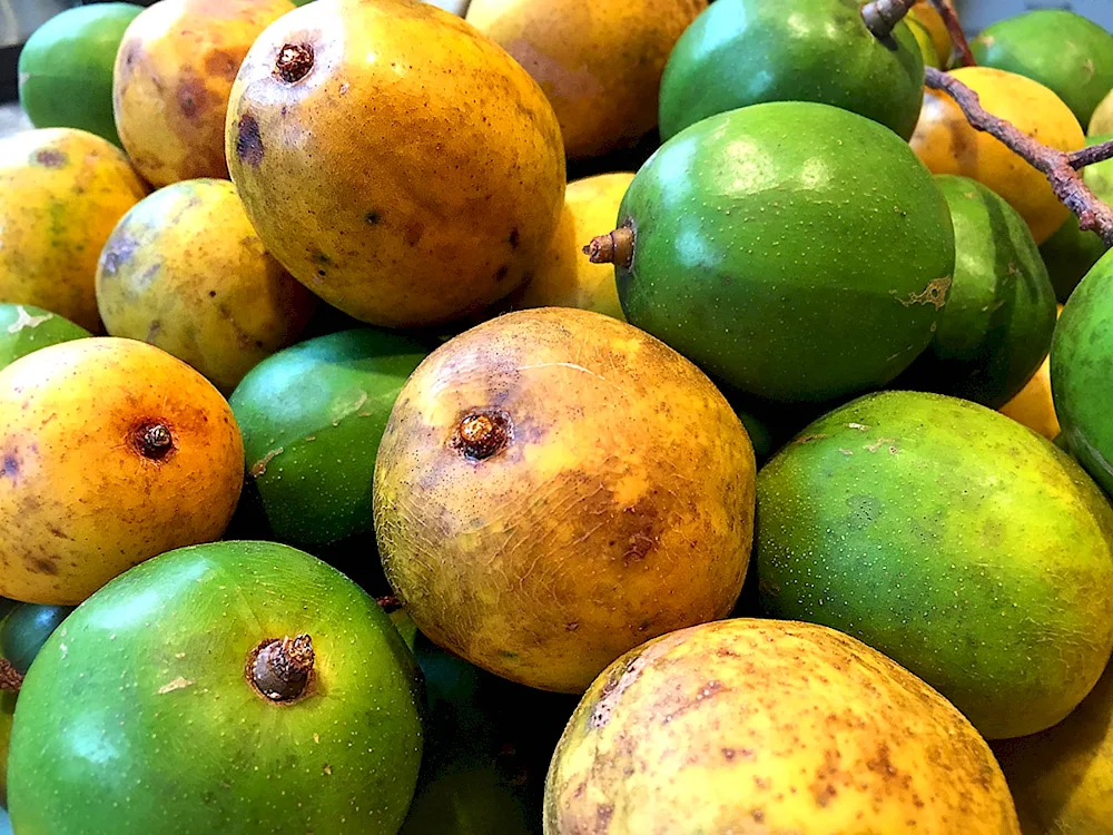Litchi Exofruit