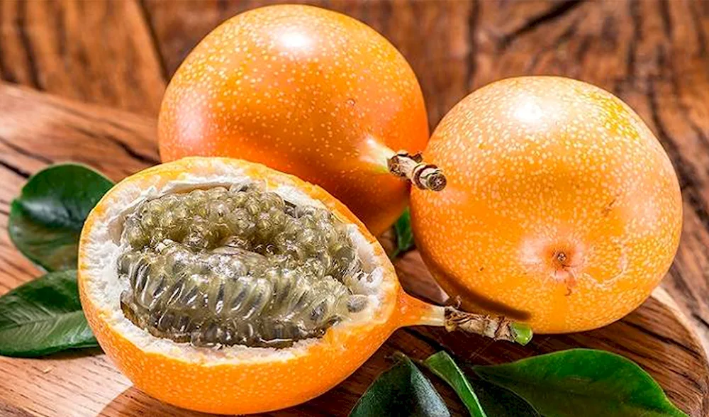 Alligator pear avocado