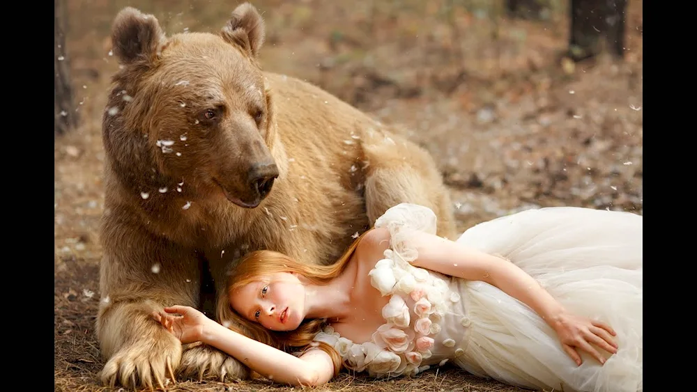 Margarita Kareva Bear Stepan