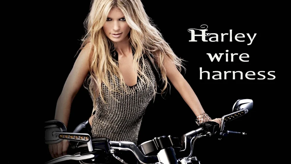 Marisa Miller
