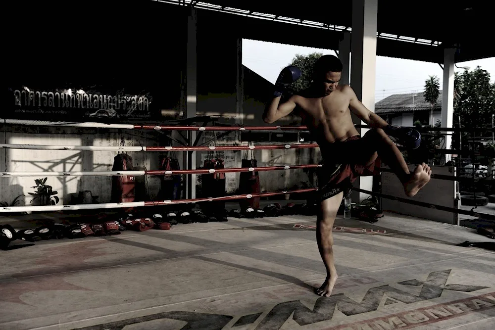 Mark Dacascos Muay Thai