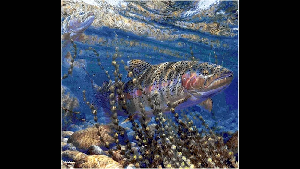 Mark Susino Underwater Fish world