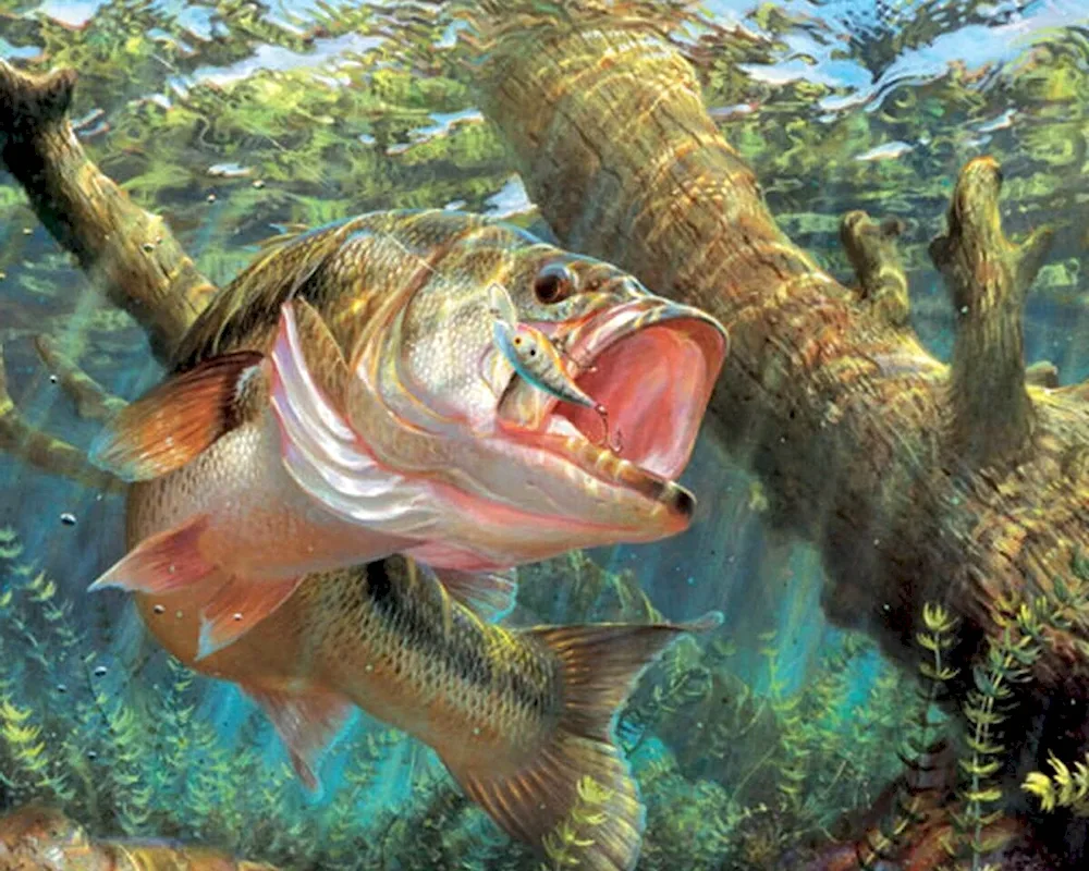 Picture 9 Carp Feng Shui